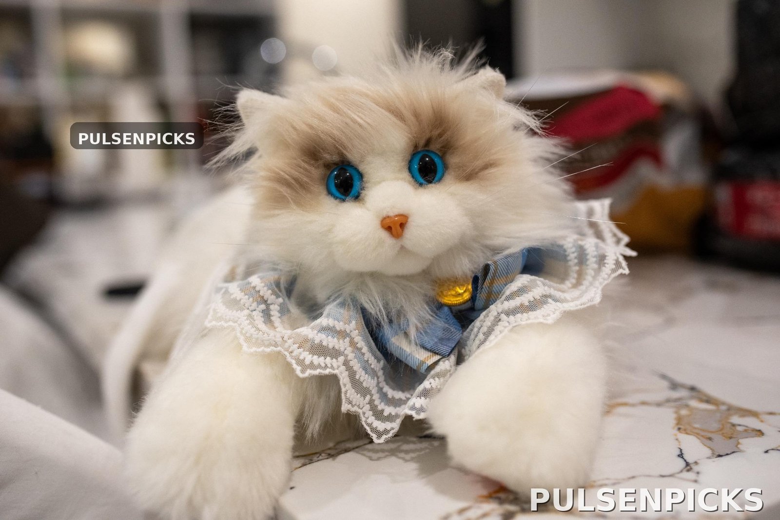 Chongker Cat Shaped Backpack Review – So Real My Cat Thought It Was Another Cat